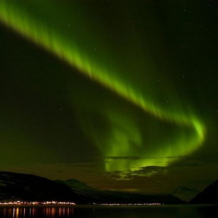 Fjellkysten Tennevoll Ngoại thất bức ảnh
